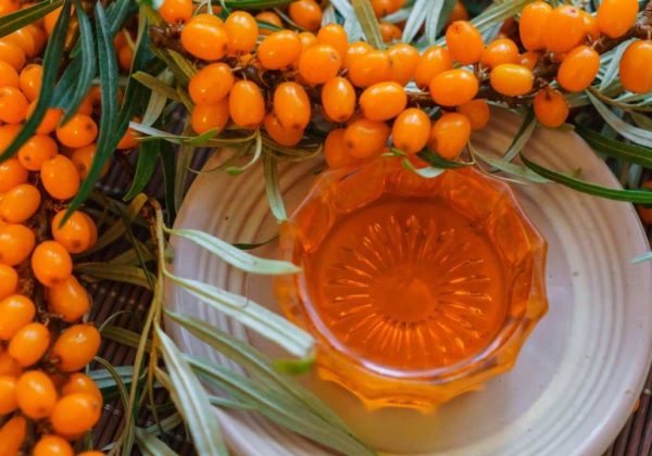 The Amazing Sea Buckthorn Oil Benefits For Skin